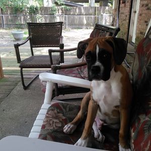 Meet your Posher, Charlene